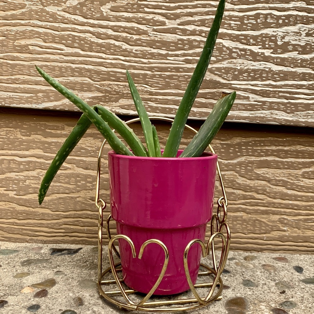 Gold hearts plant holder